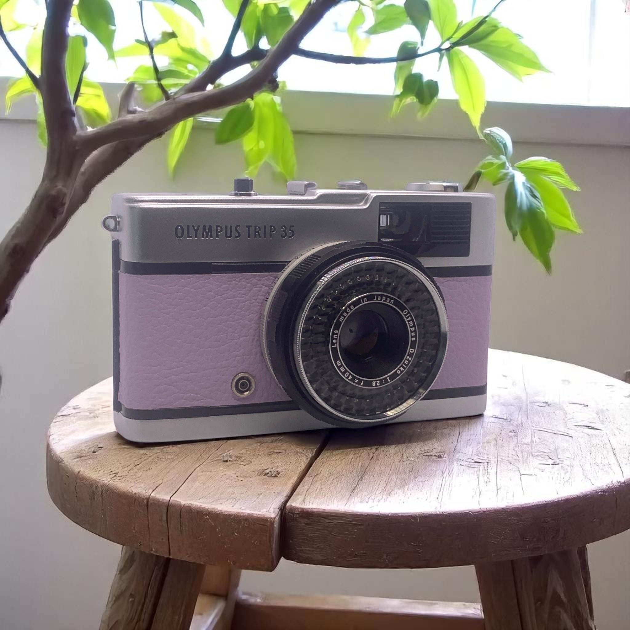 Olympus Trip 35 1981